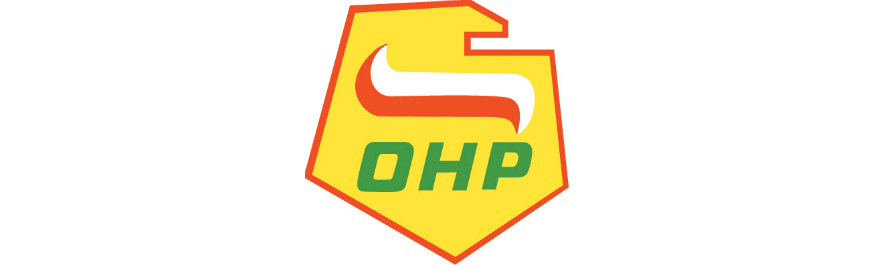 Akcja Rekrutacyjna trwa! - oferta 2-4 ŚHP Toruń Kliknięcie w obrazek spowoduje wyświetlenie jego powiększenia
