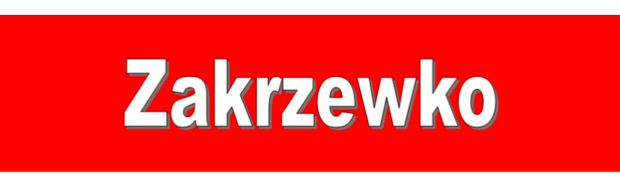 Zebranie wiejskie w Zakrzewku Kliknięcie w obrazek spowoduje wyświetlenie jego powiększenia