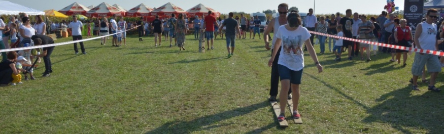 Wyścig na nartach Kliknięcie w obrazek spowoduje wyświetlenie jego powiększenia