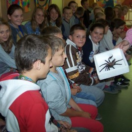 grafika,37952,-.jpg