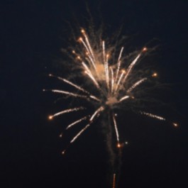DSC_0263.JPG