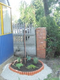 grafika,30959,-.jpg
