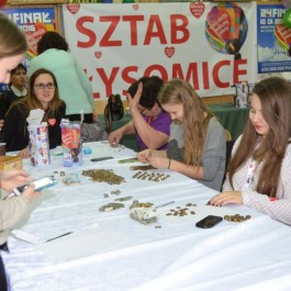 grafika,43522,-.jpg