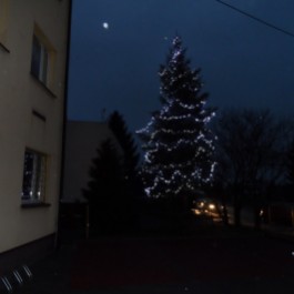 Choinka przed Urzędem Gminy 