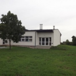 grafika,42971,-.jpg