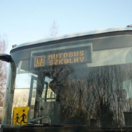 grafika,29897,-.jpg