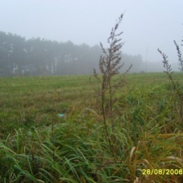 grafika,37019,-.jpg