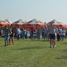 DSC_0943.JPG