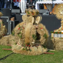 Najpiękniejszy wieniec