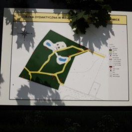 grafika,36414,-.jpg