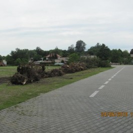 grafika,31412,-.jpg