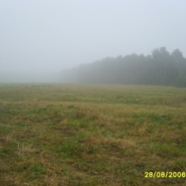 grafika,37021,-.jpg