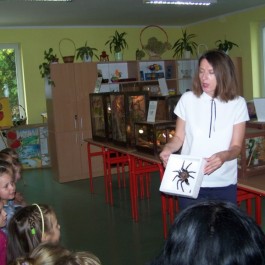 grafika,37947,-.jpg