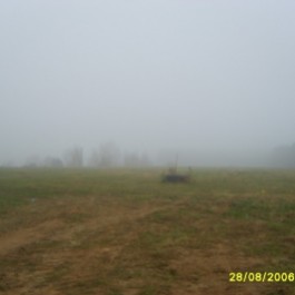 grafika,37020,-.jpg
