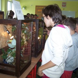 grafika,37955,-.jpg